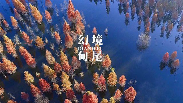 对摄影小白,第一台相机是买单反好还是数码相机好?-专业的问答类网站